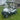 EZGO TXT 48V ELECTRIC GOLF CART