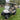 2024 ICON I40L LITHIUM GOLF CART NEW