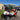 2020 EZGO RXV EFI GAS GOLF CART